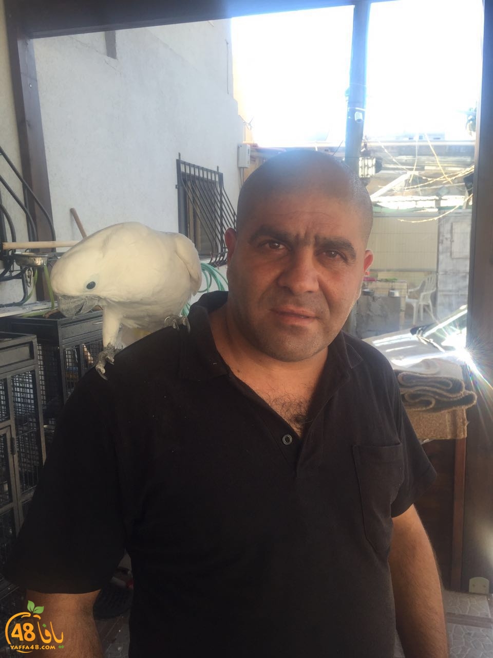 zohdy 3ashor (9).jpg